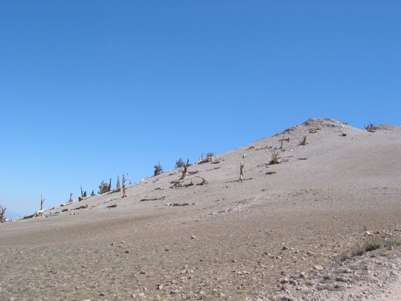 2003-09-20 White (74)